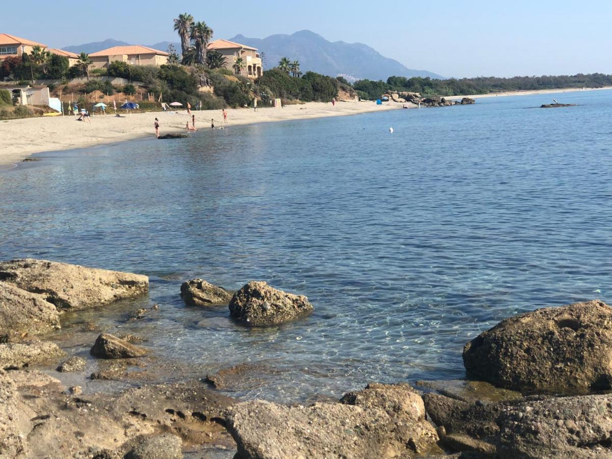 La Corse Tranquille 300M De La Plage Et Piscine Linguizzetta Zewnętrze zdjęcie